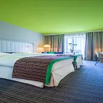 Park By Radisson Frankfurt Airport 3*